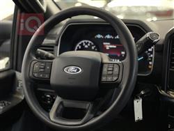 فۆرد F-150